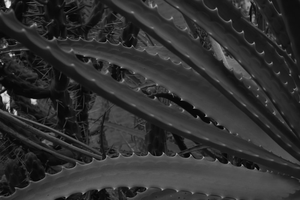 a close up of a tire