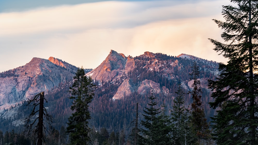 a snowy mountain range