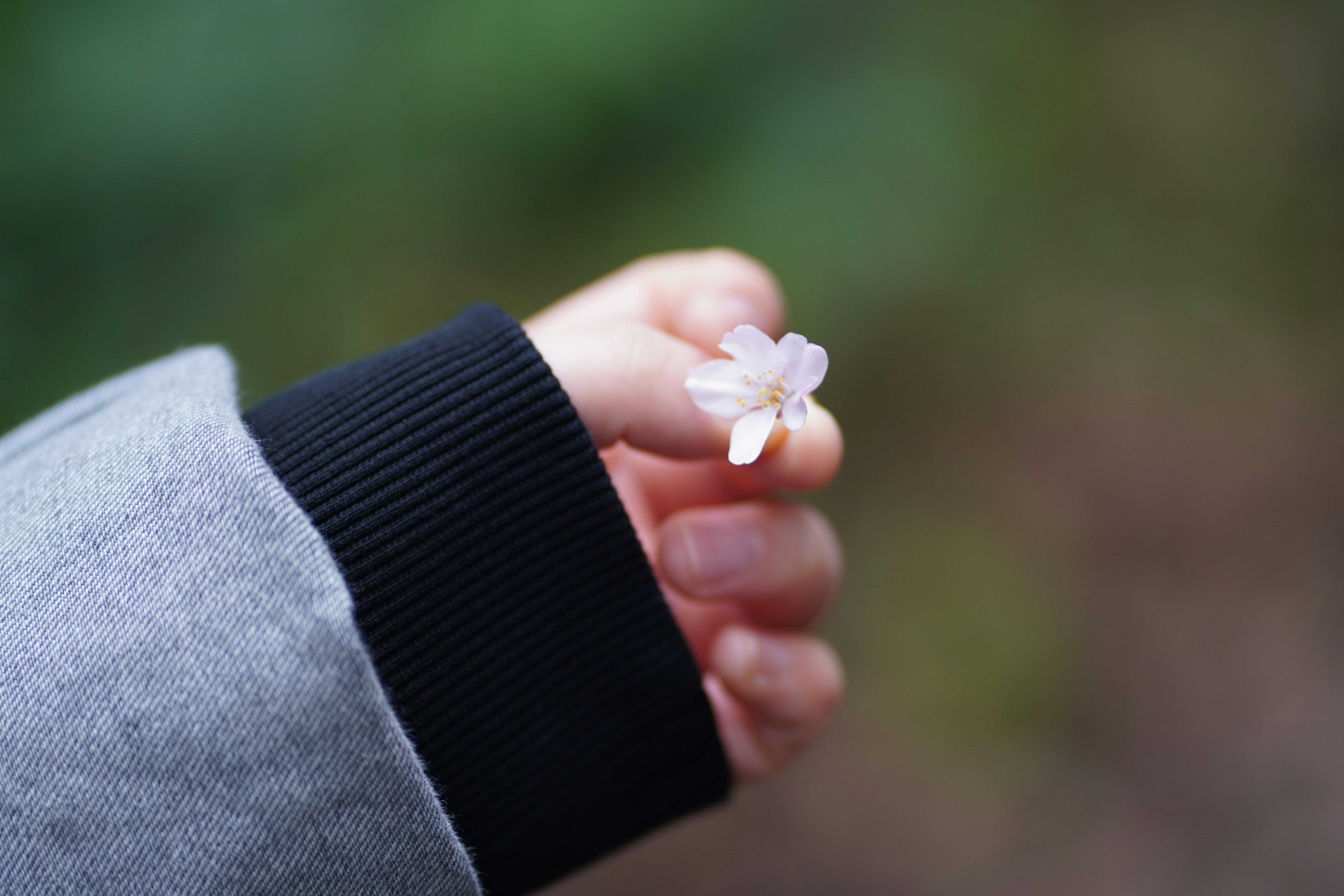 Photo by chooseyourstories