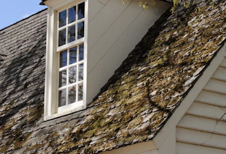 A close-up view of the side of a house with a window dormer set into a steeply pitched roof. The roof is covered in weathered shingles with patches of moss and lichen growing on them. The house is constructed with light-colored wooden siding, and bare tree branches are partially visible in the foreground.