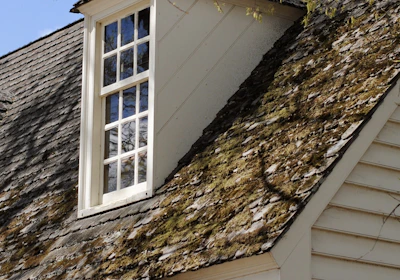 A close-up view of the side of a house with a window dormer set into a steeply pitched roof. The roof is covered in weathered shingles with patches of moss and lichen growing on them. The house is constructed with light-colored wooden siding, and bare tree branches are partially visible in the foreground.