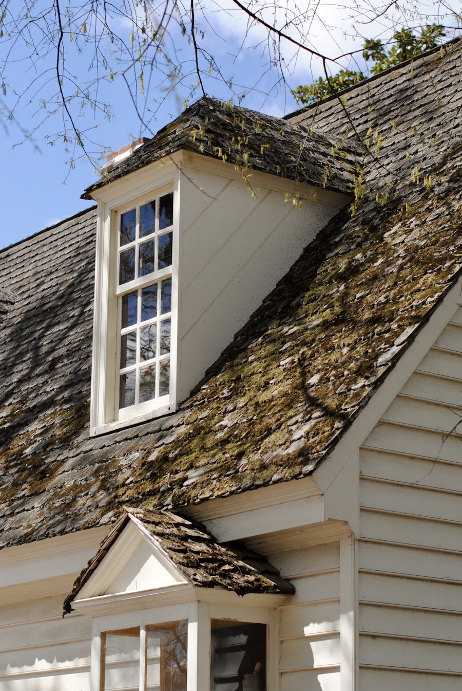 moss-covered shingle roof