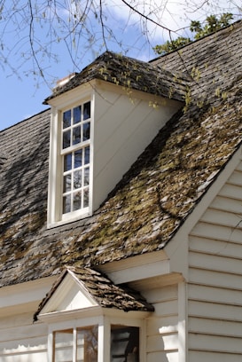 A close-up view of the side of a house with a window dormer set into a steeply pitched roof. The roof is covered in weathered shingles with patches of moss and lichen growing on them. The house is constructed with light-colored wooden siding, and bare tree branches are partially visible in the foreground.