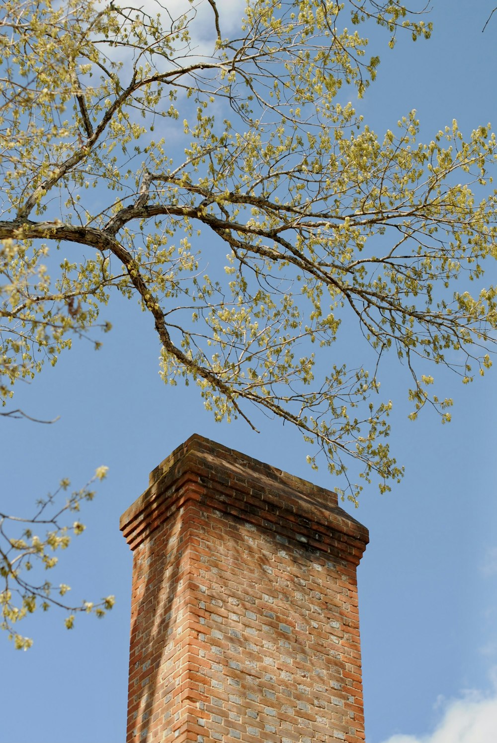a brick chimney under a tree