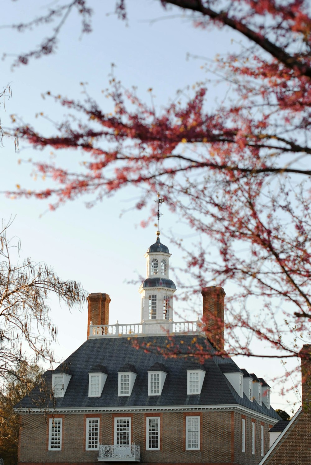 a building with a tower and a tree in the background