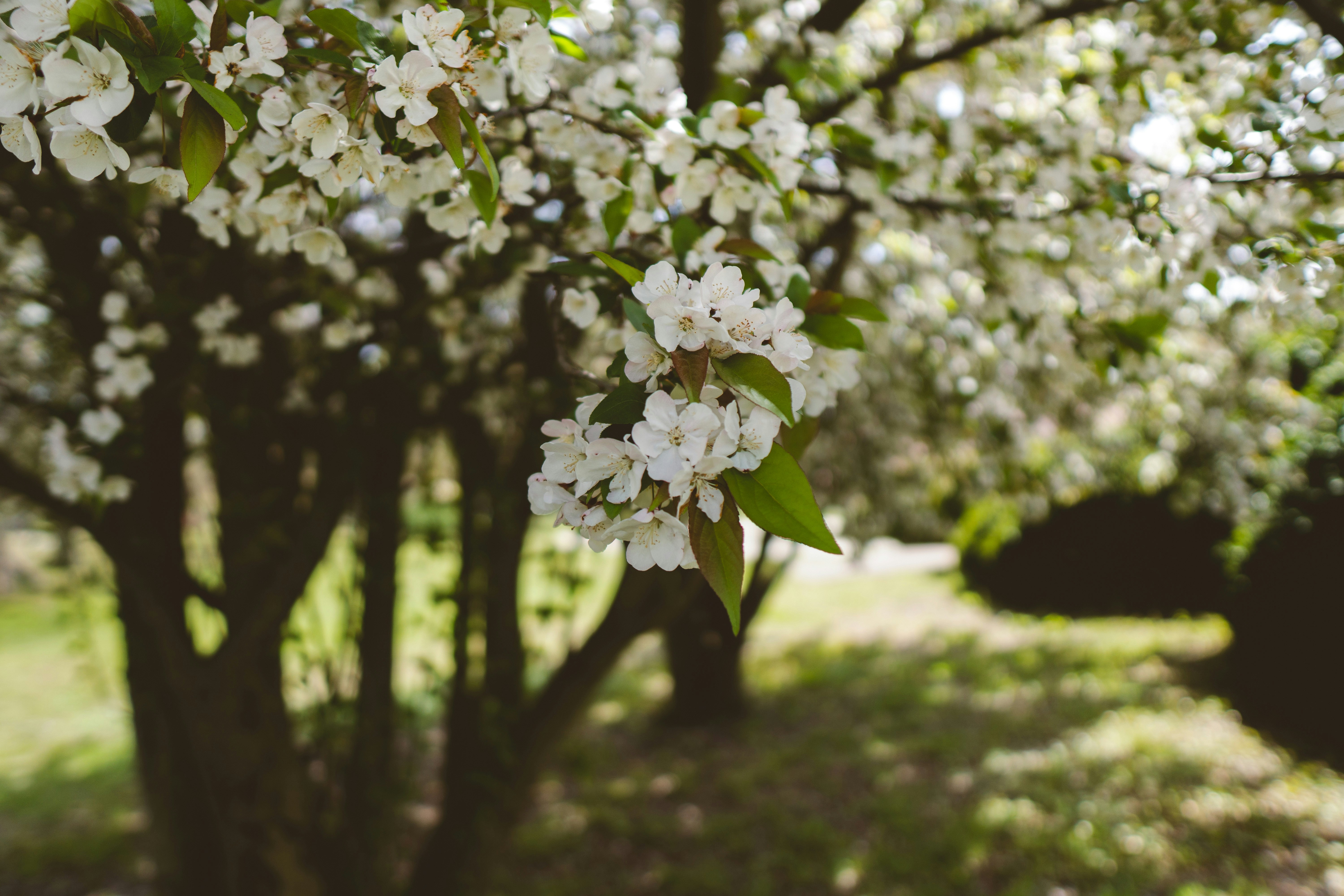 Photo by emmanuelphaeton