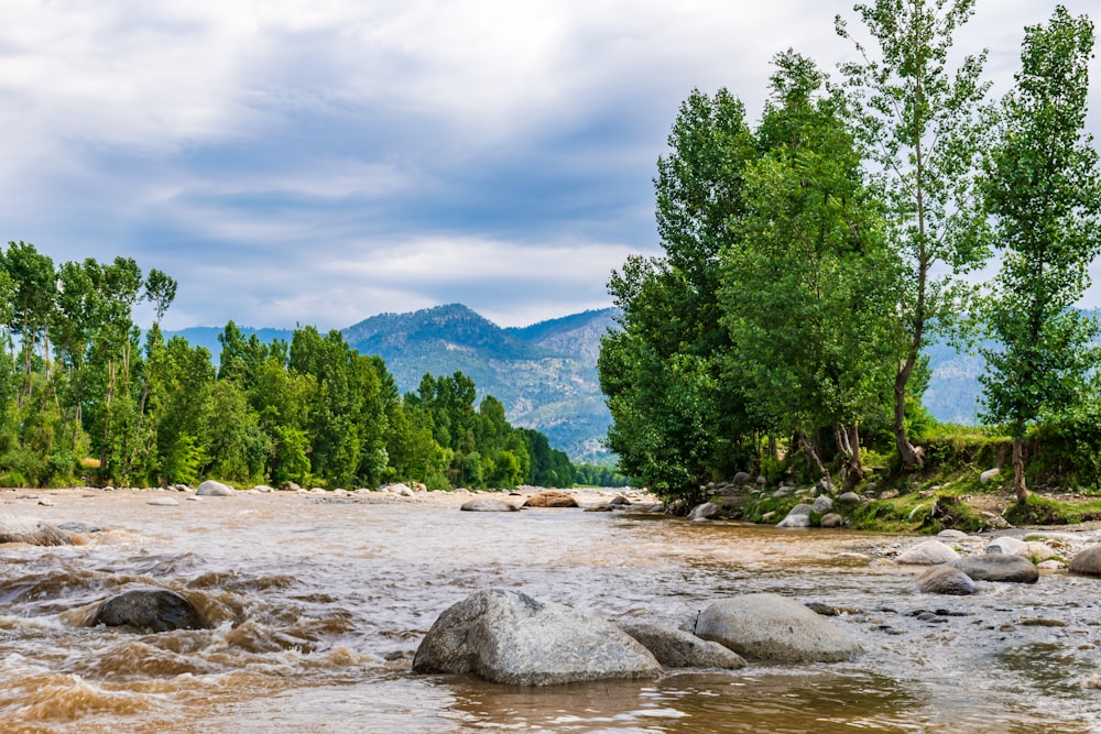 a river with rocks and trees