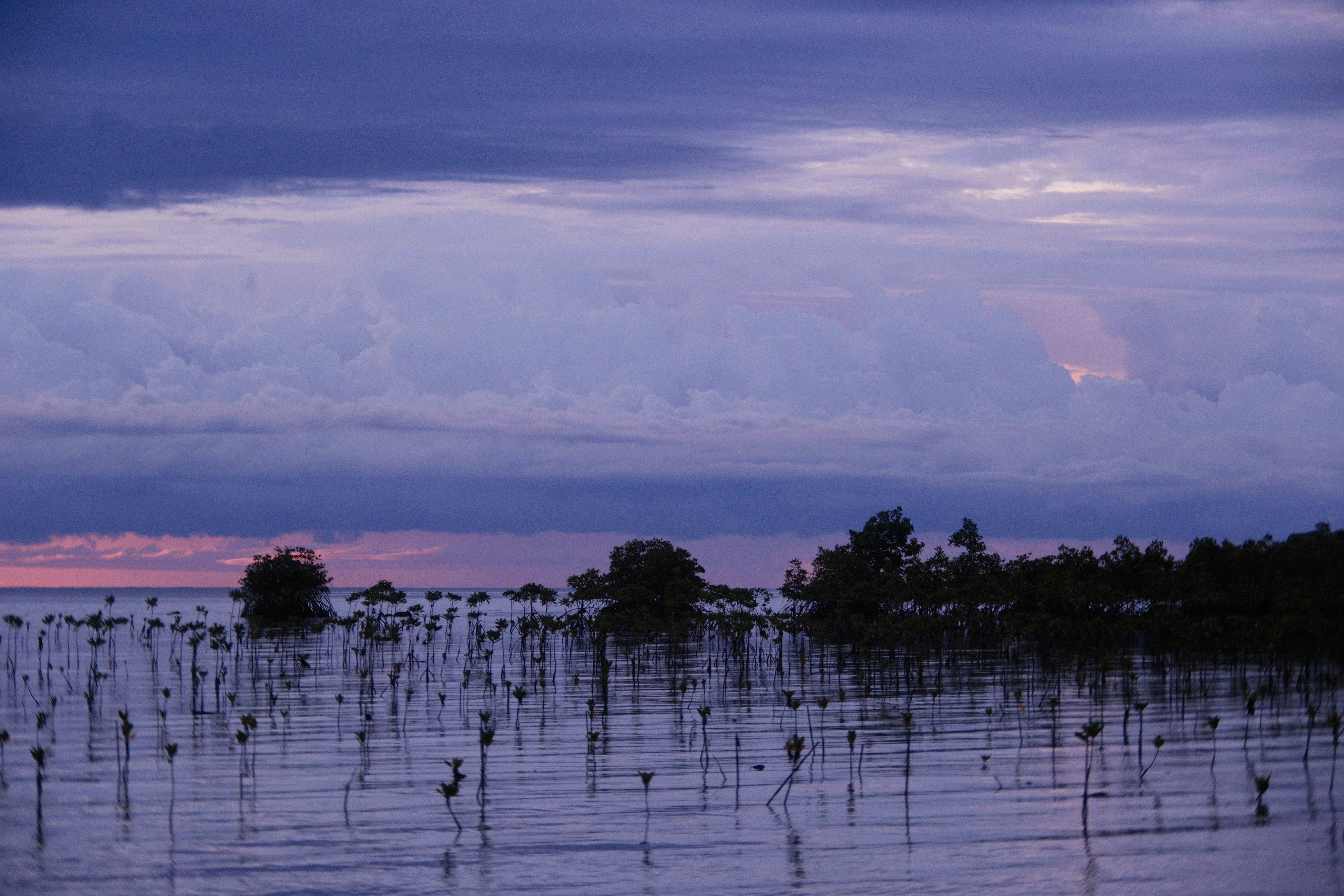 Photo by alexeydemidov