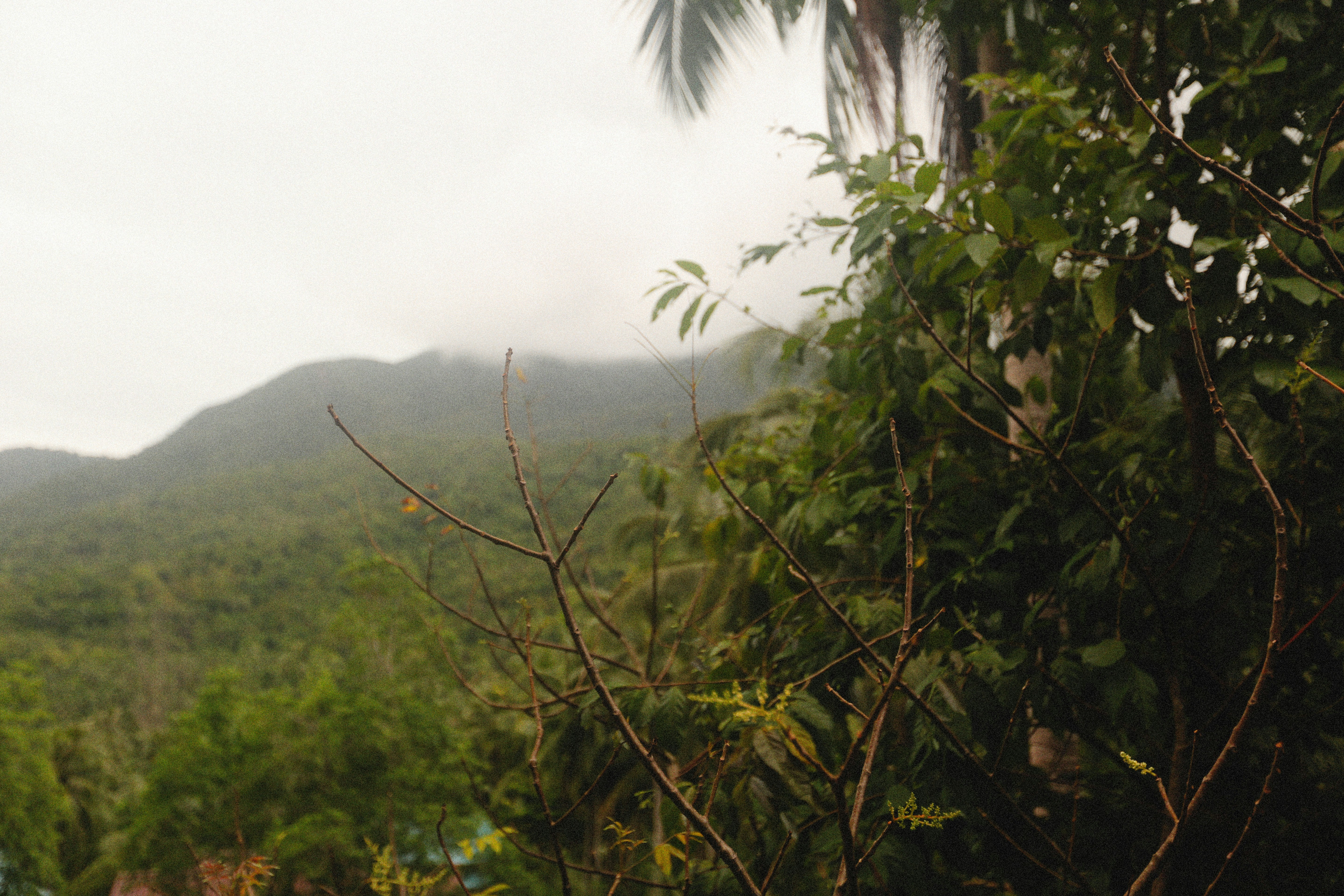 Photo by alexeydemidov