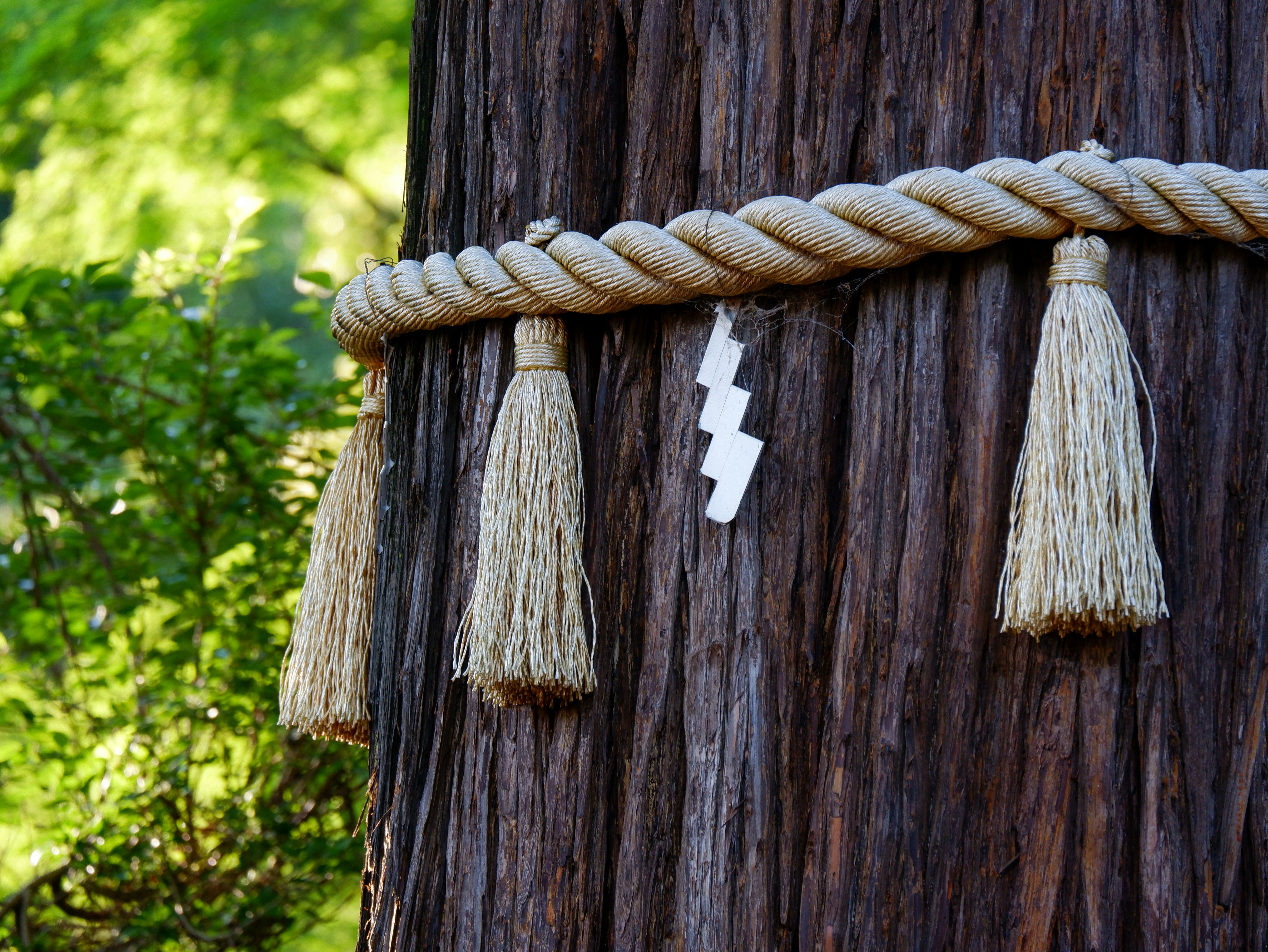 a wooden birdhouse with a number on it