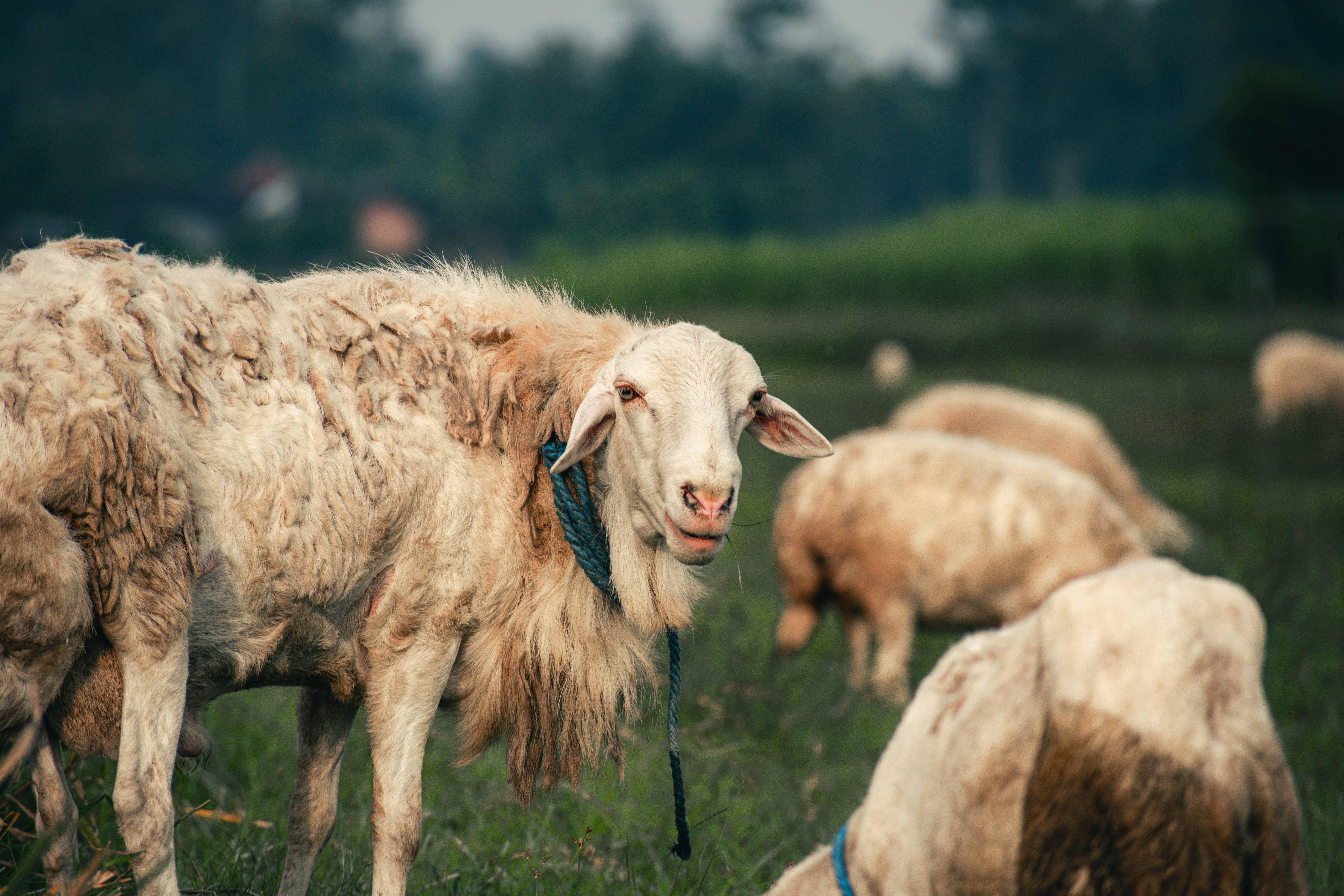 Photo by mdzcomicart