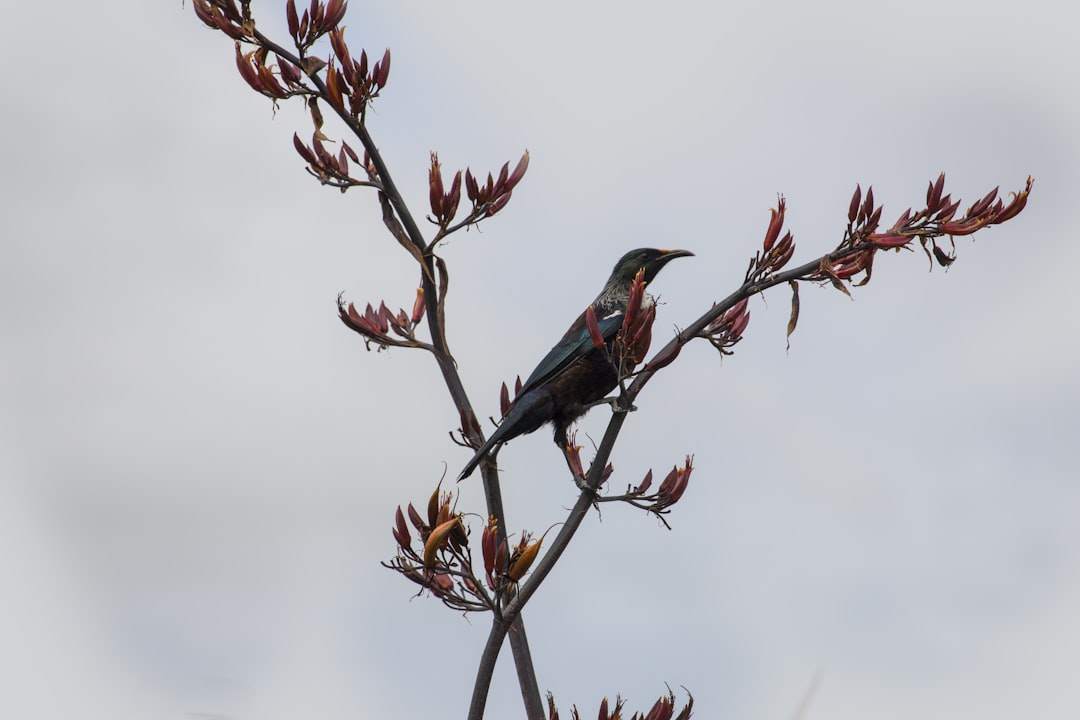 a bird perched on a branch,