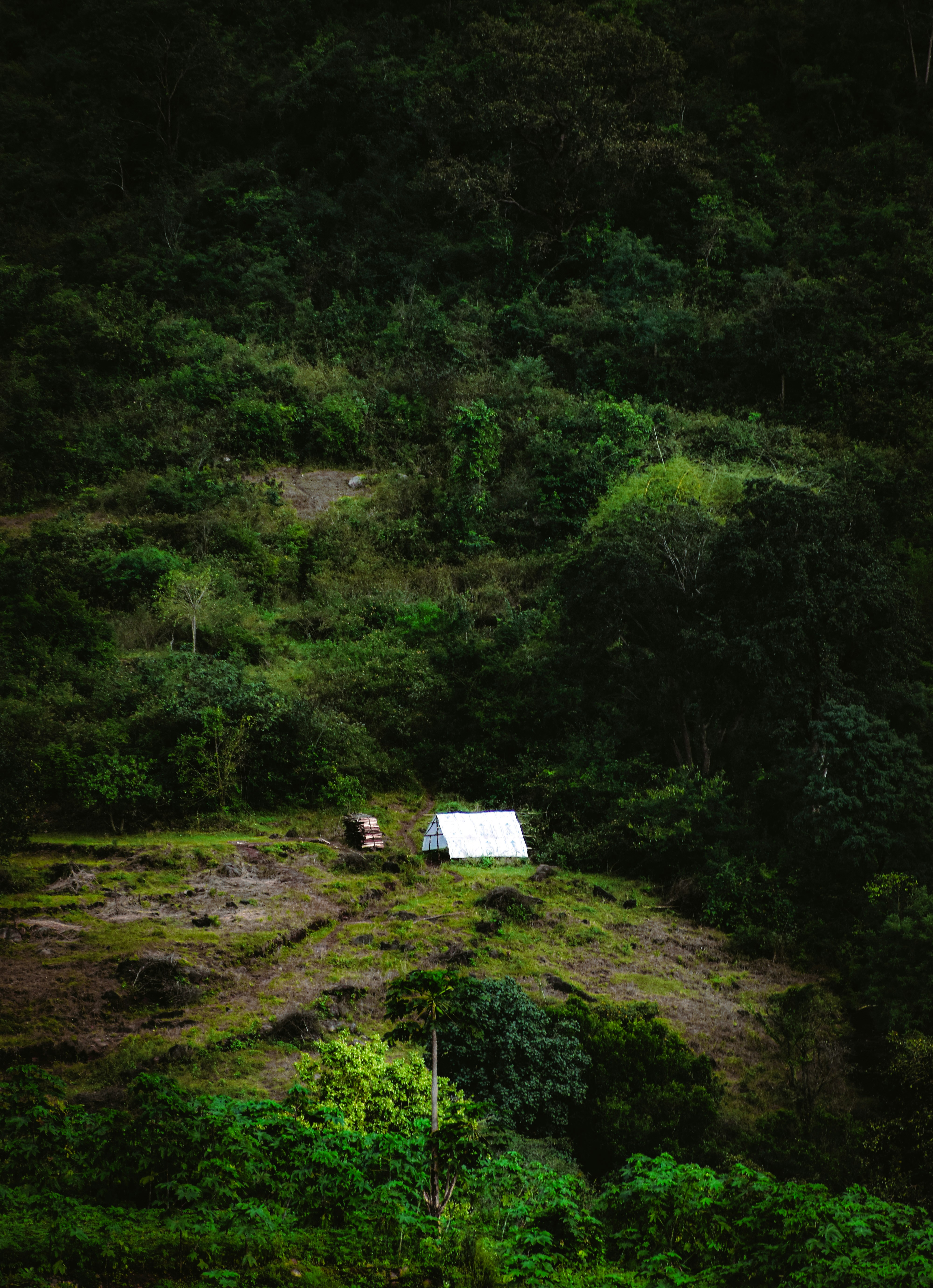 Photo by navi_photography