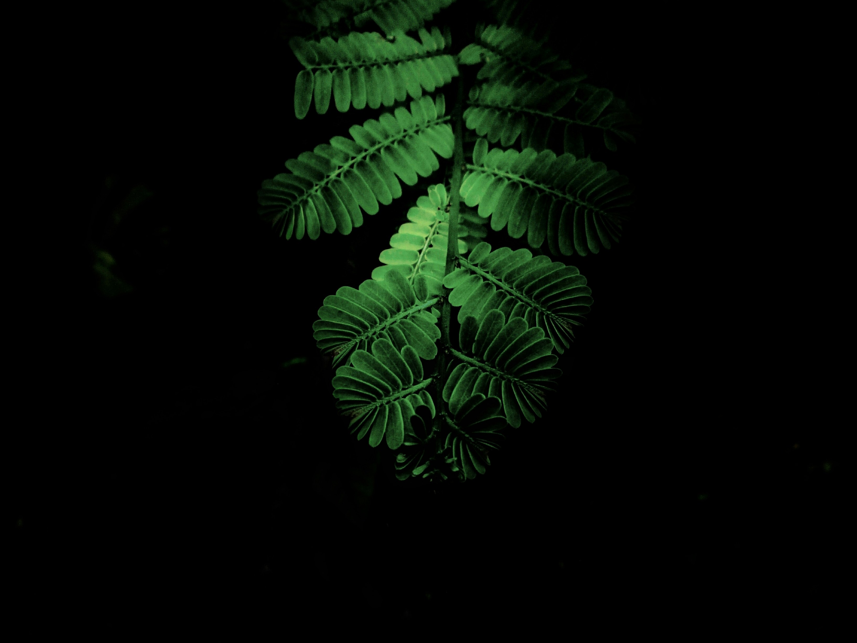 Research Techniques and Field Studies (image credits: unsplash)