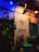 The scene depicts an exterior wall of an establishment named GUDHAAM ANTIQUES & ART. Illuminated by both blue and yellow lights, the wall is adorned with green leafy plants and vintage decorations. A nautical compass decal with cardinal directions is displayed above the business name. There is a turquoise-colored door and some potted plants below.