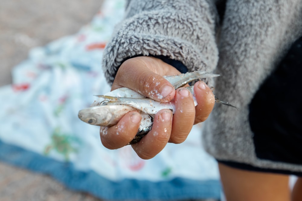 a person holding a fish