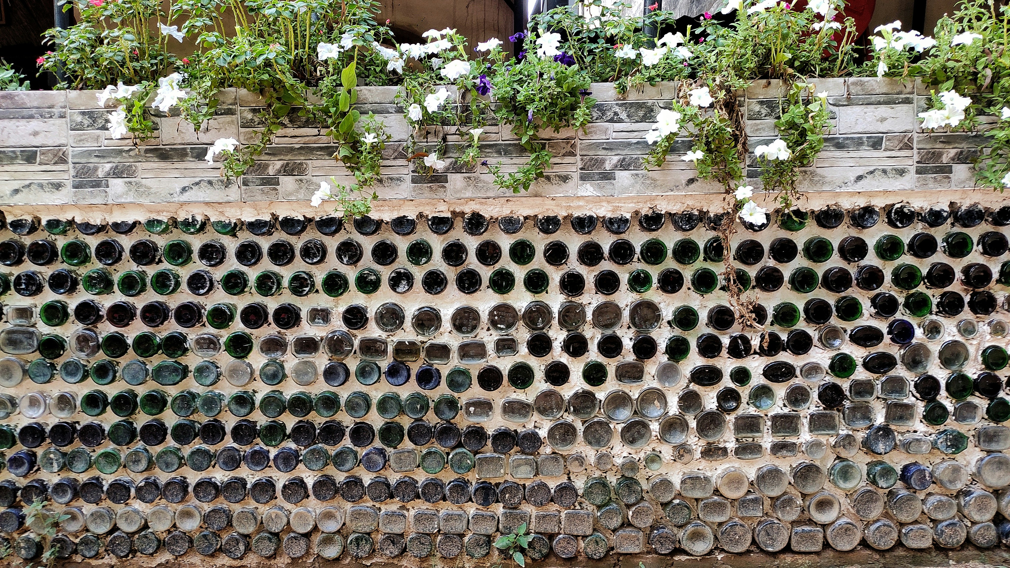 a large group of coins