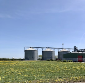 a group of buildings with a field in front of them