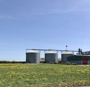 a group of buildings with a field in front of them