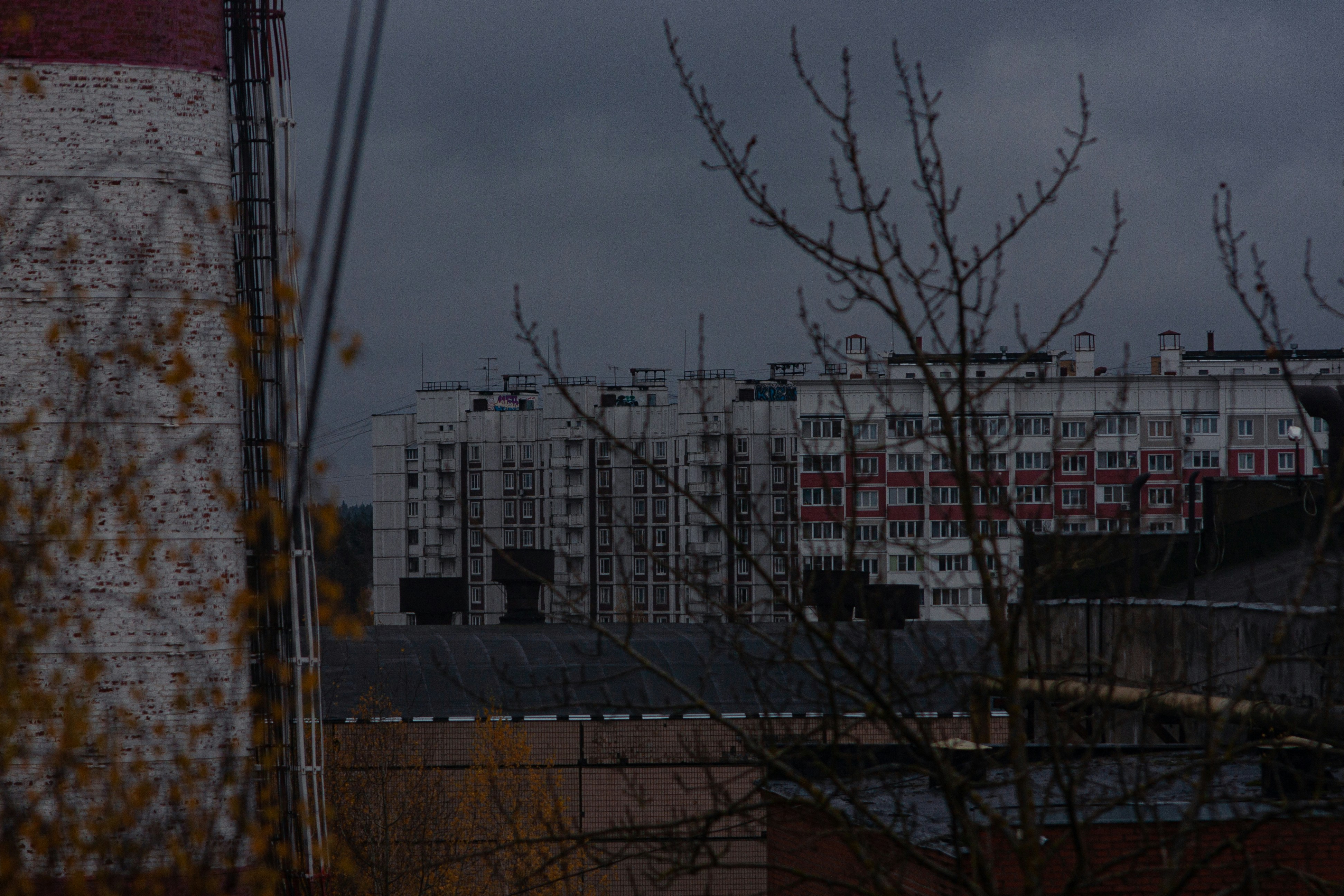 a building with a tree in front of it