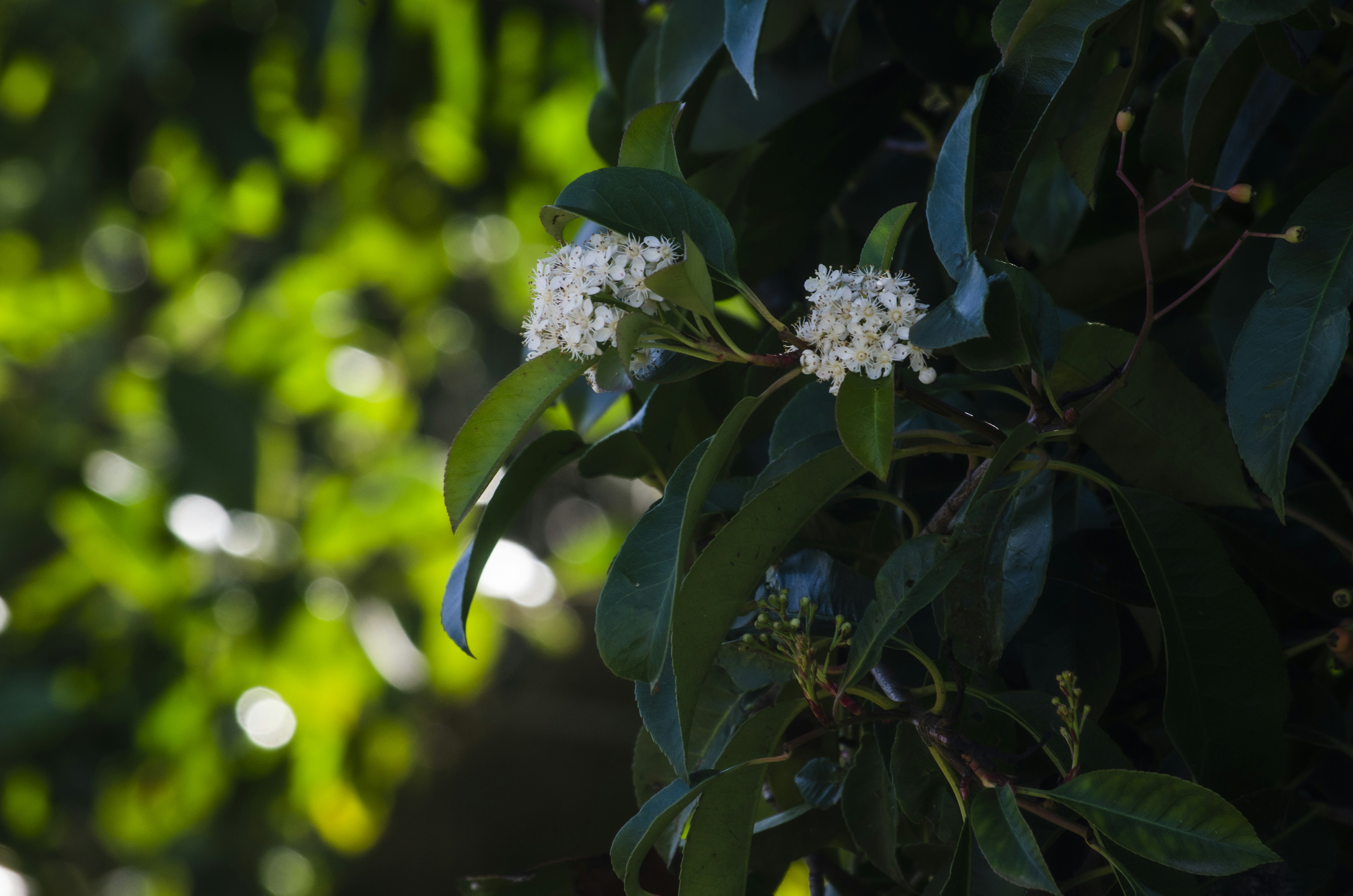 Photo by rachelstwrt