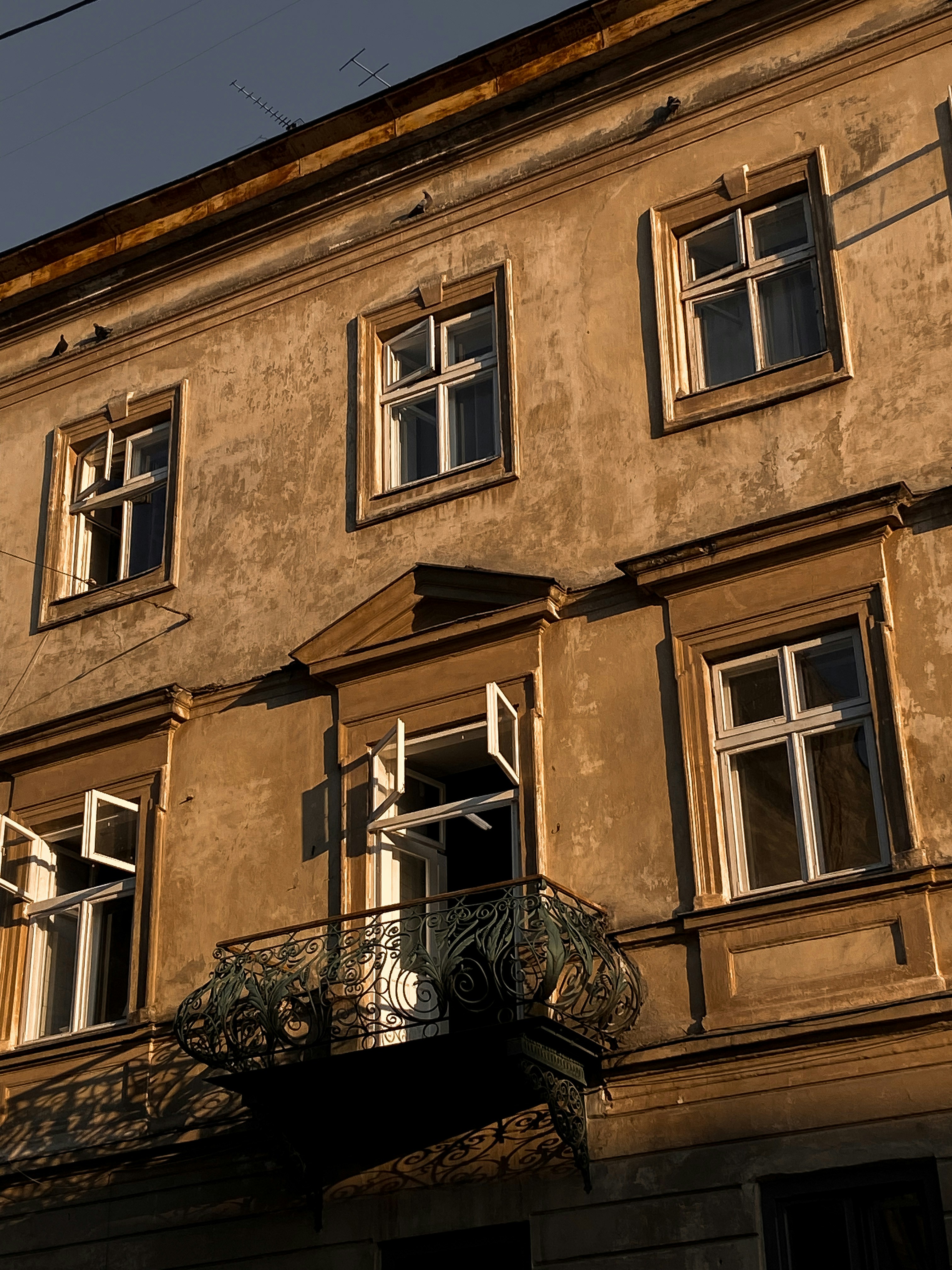 Photo by sofia_velgosh