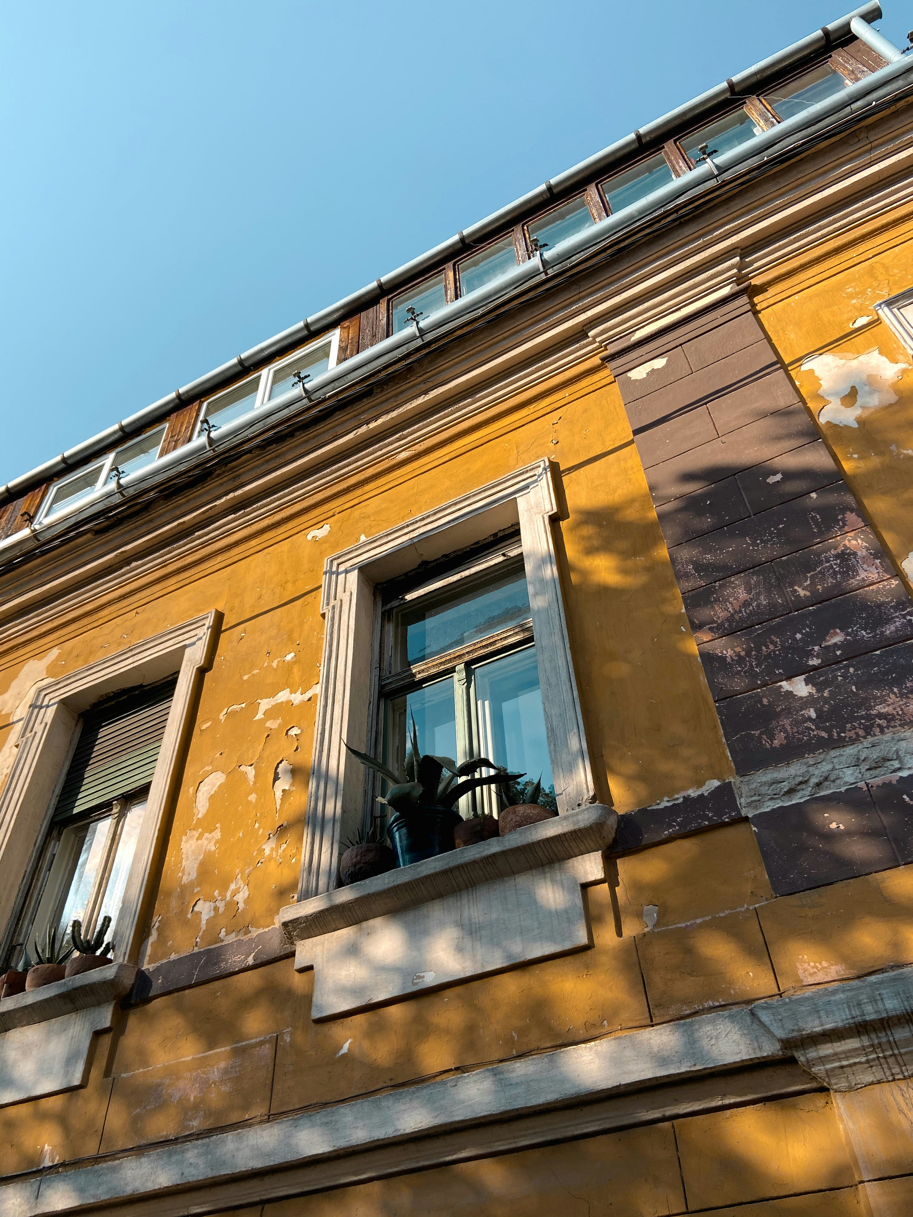 Photo by sofia_velgosh