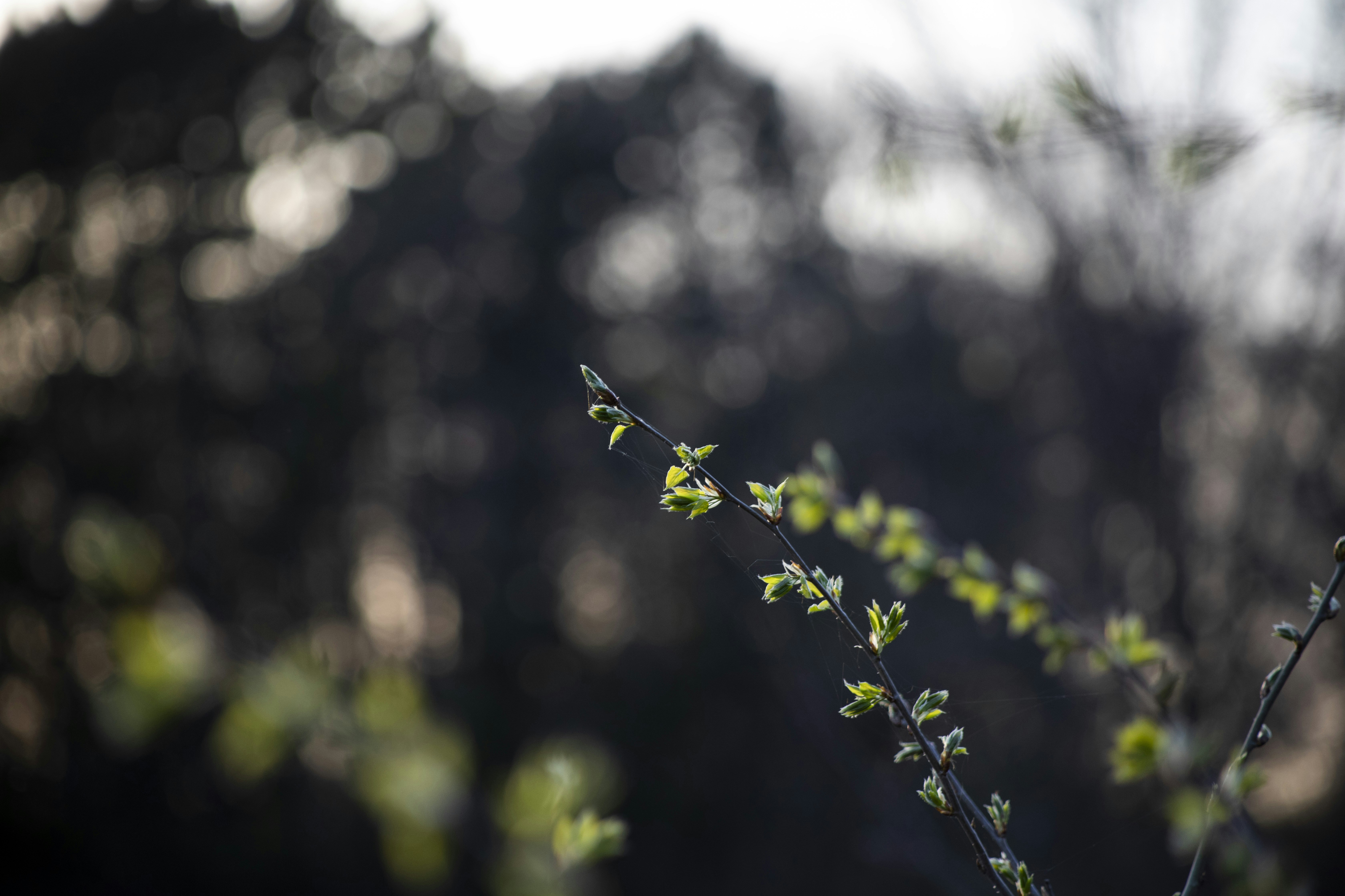 Photo by helenatheactress