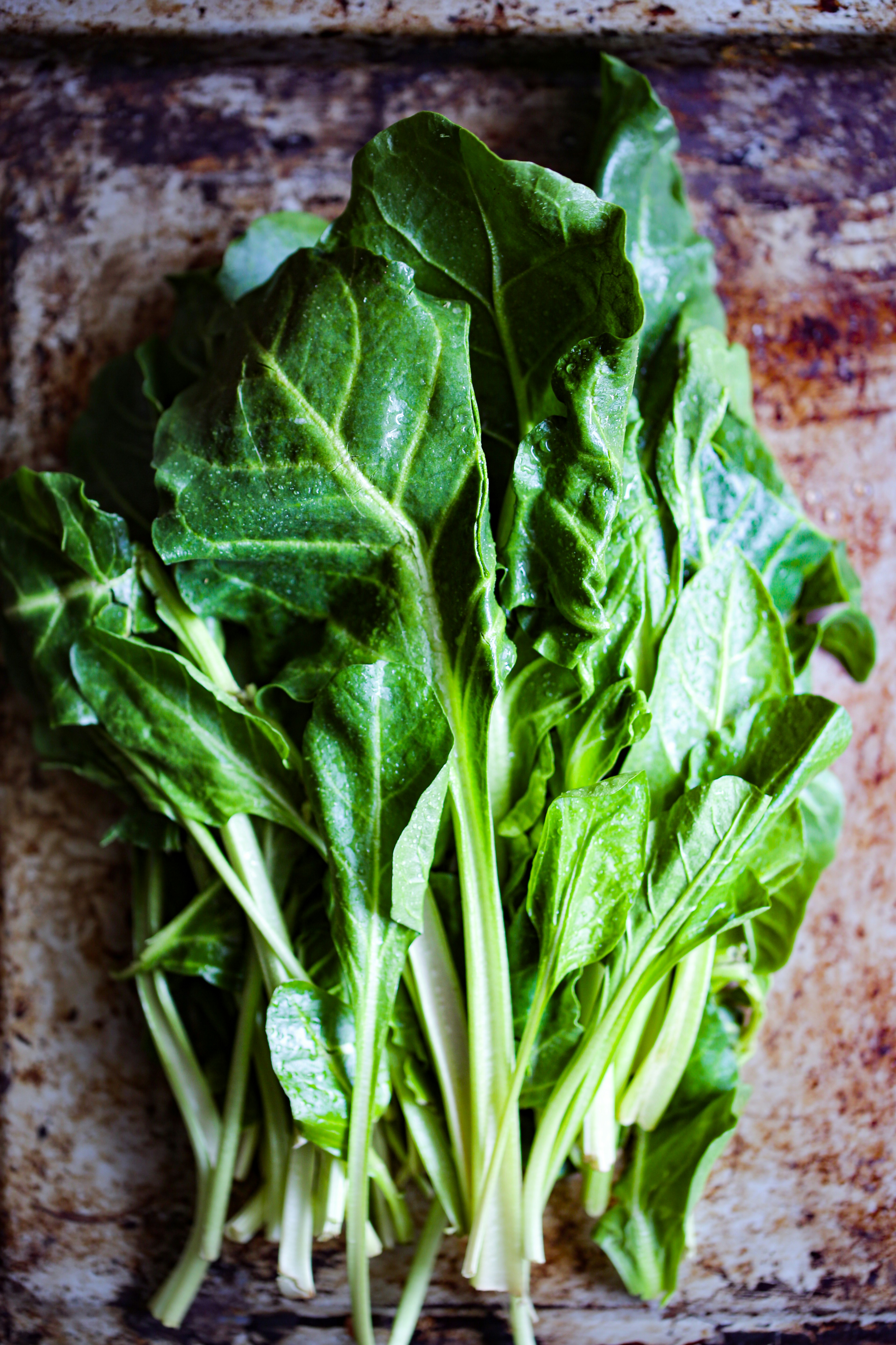 Photo by rebeckagsendroiu