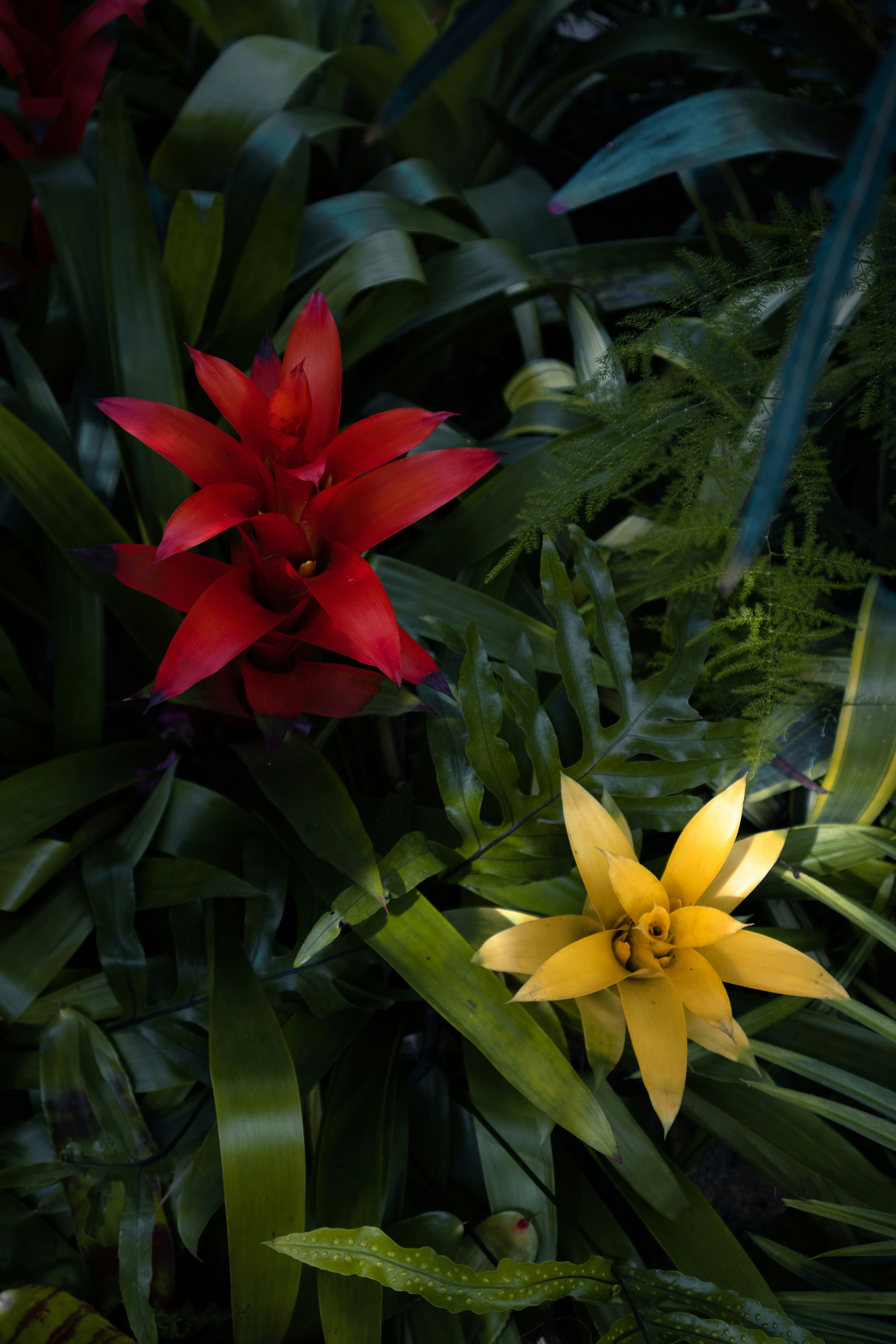 Eine Gruppe bunter Blumen