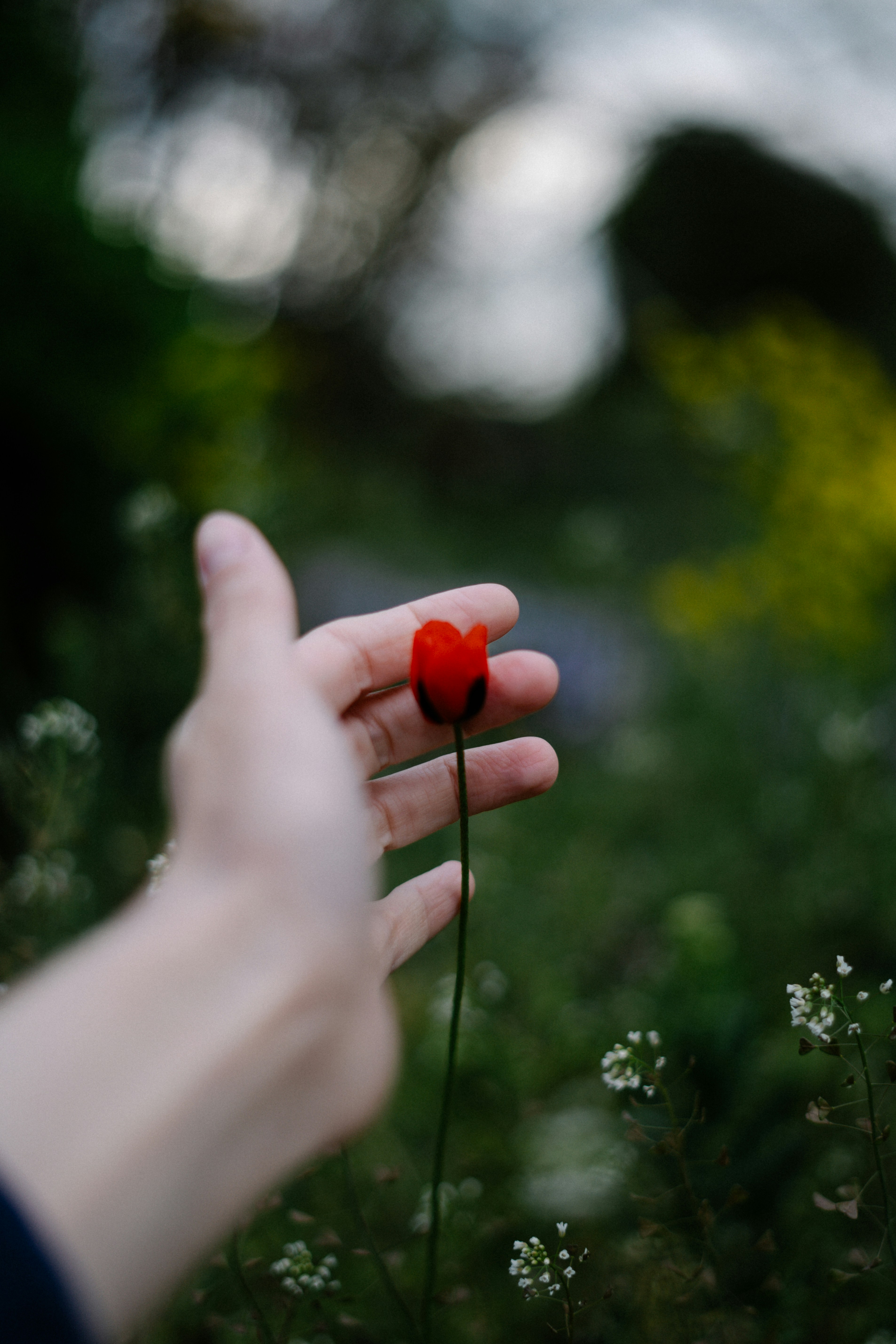 Photo by albina___white