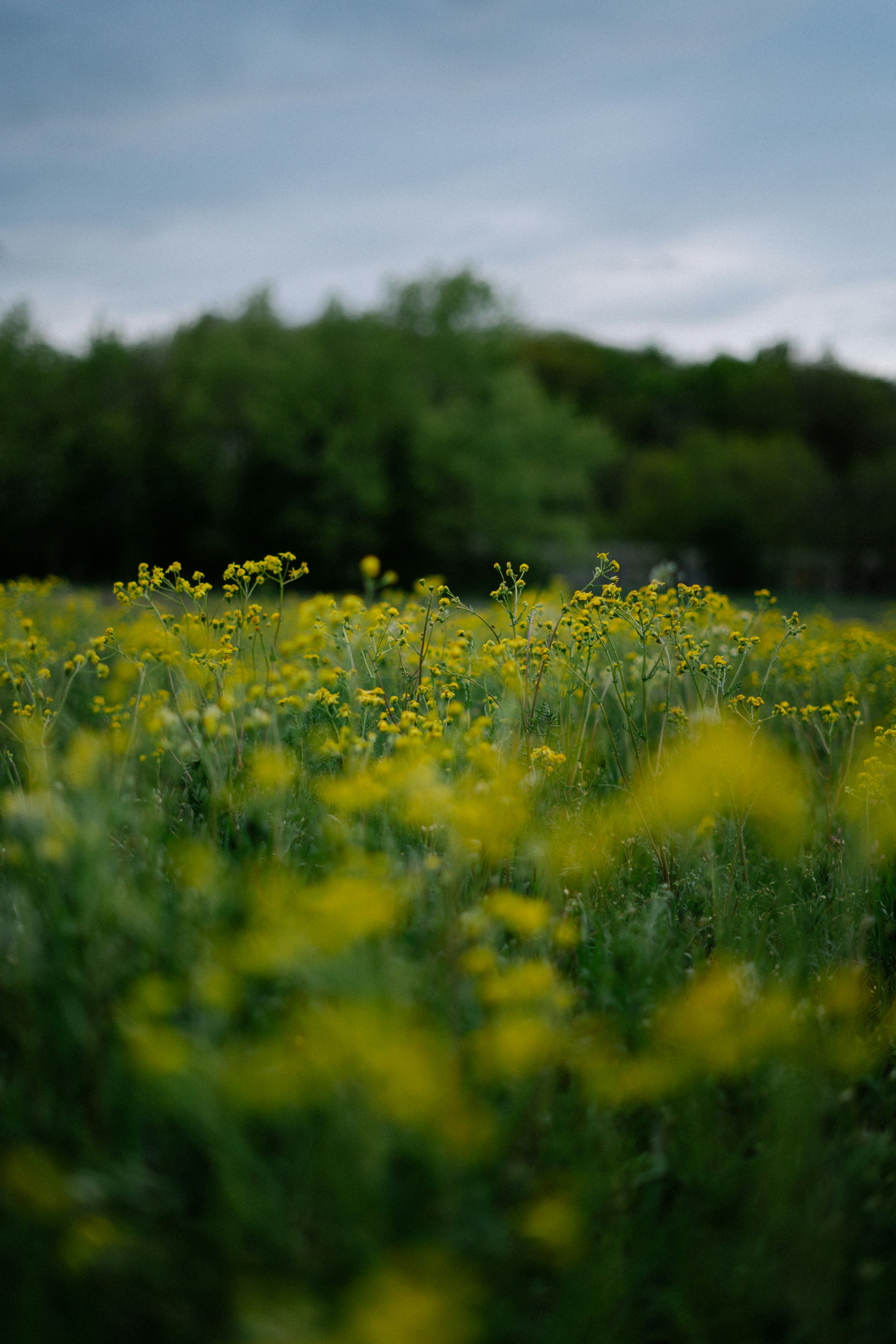 Photo by albina___white