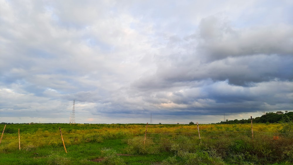 a field with power lines and grass