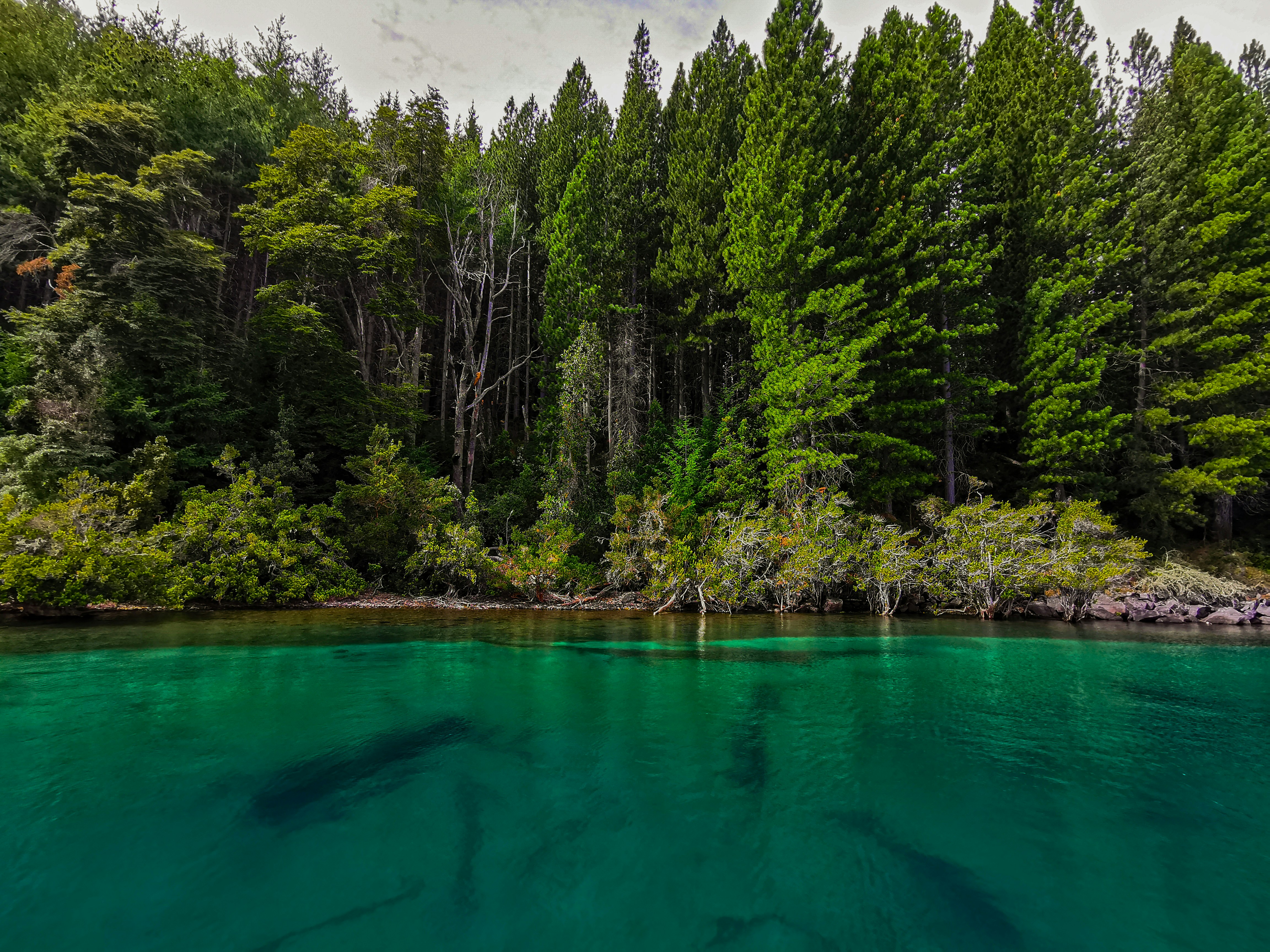Lake Nahuel Huapi, Argentina - Les eaux bleues turquoises sur le lac Nahuel Huapi proche de Bariloche !