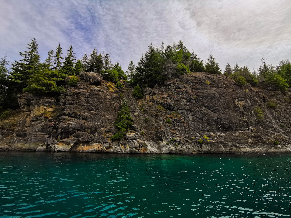 a rocky cliff with trees on it