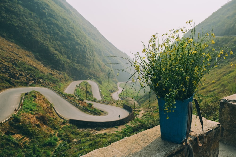 a bench next to a road