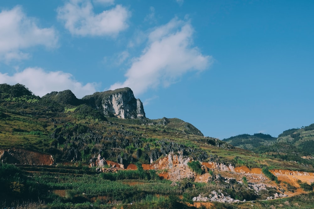 a landscape with a rocky hill and trees