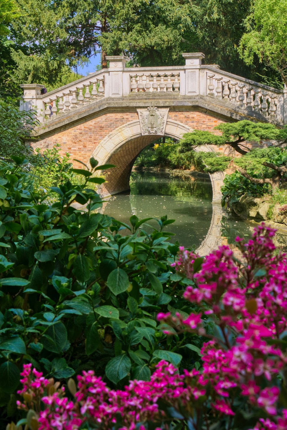 a bridge over a river in a garden