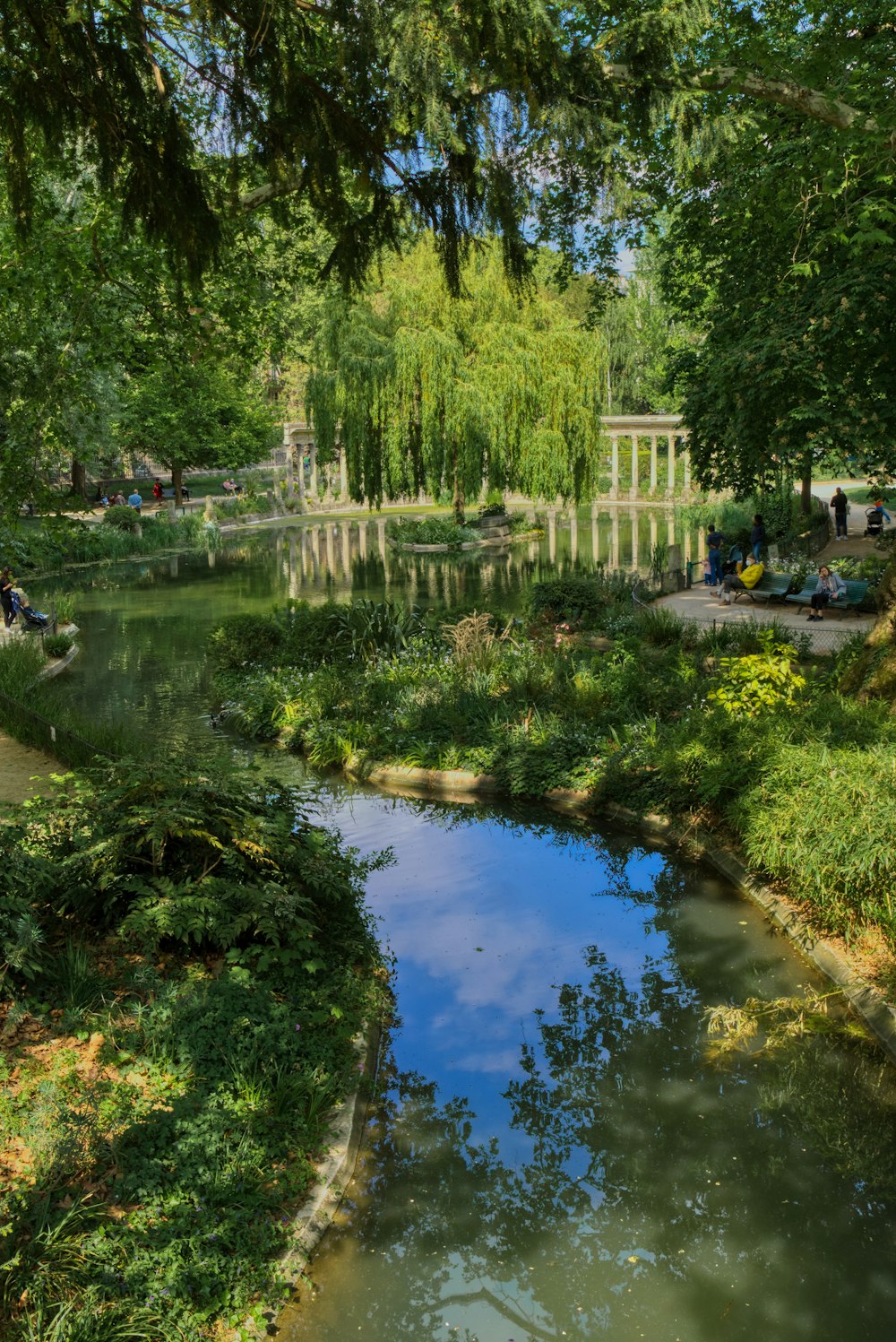 a body of water surrounded by trees