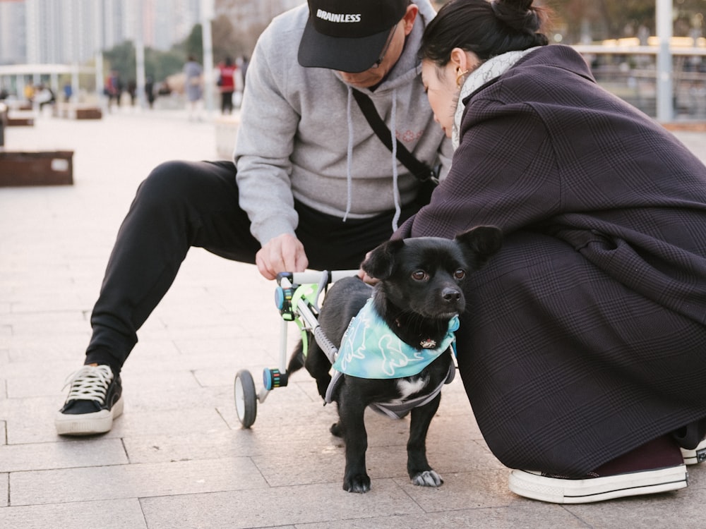 a person pushing a dog on a skateboard