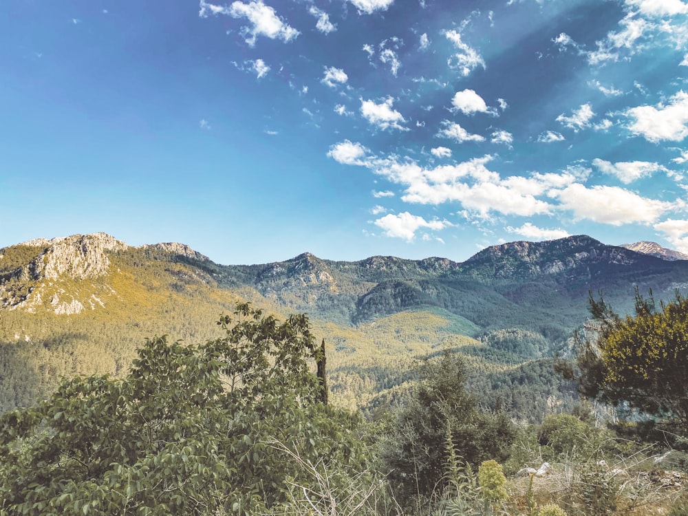 a landscape with trees and mountains