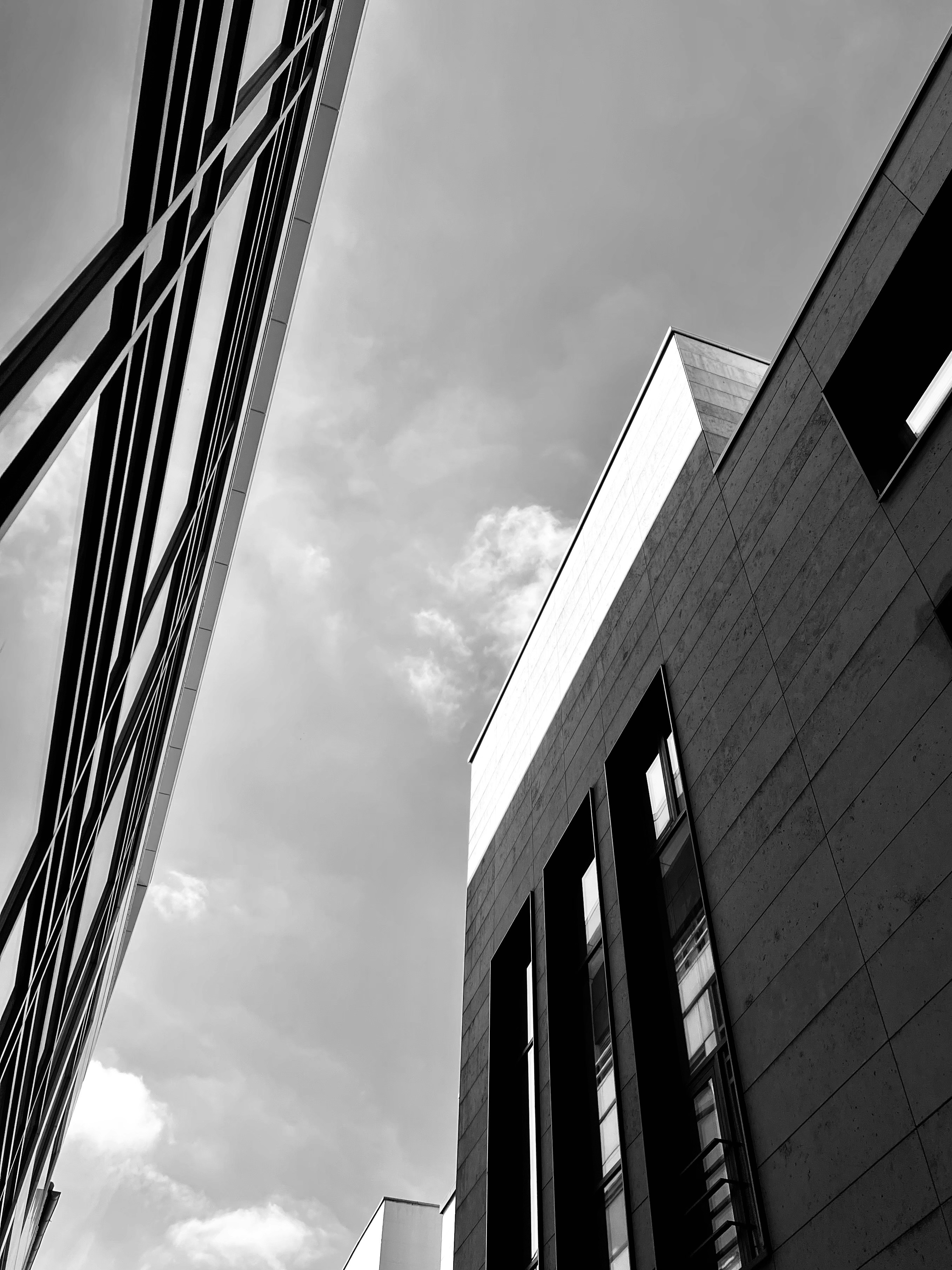 Photo by luis_de_leon