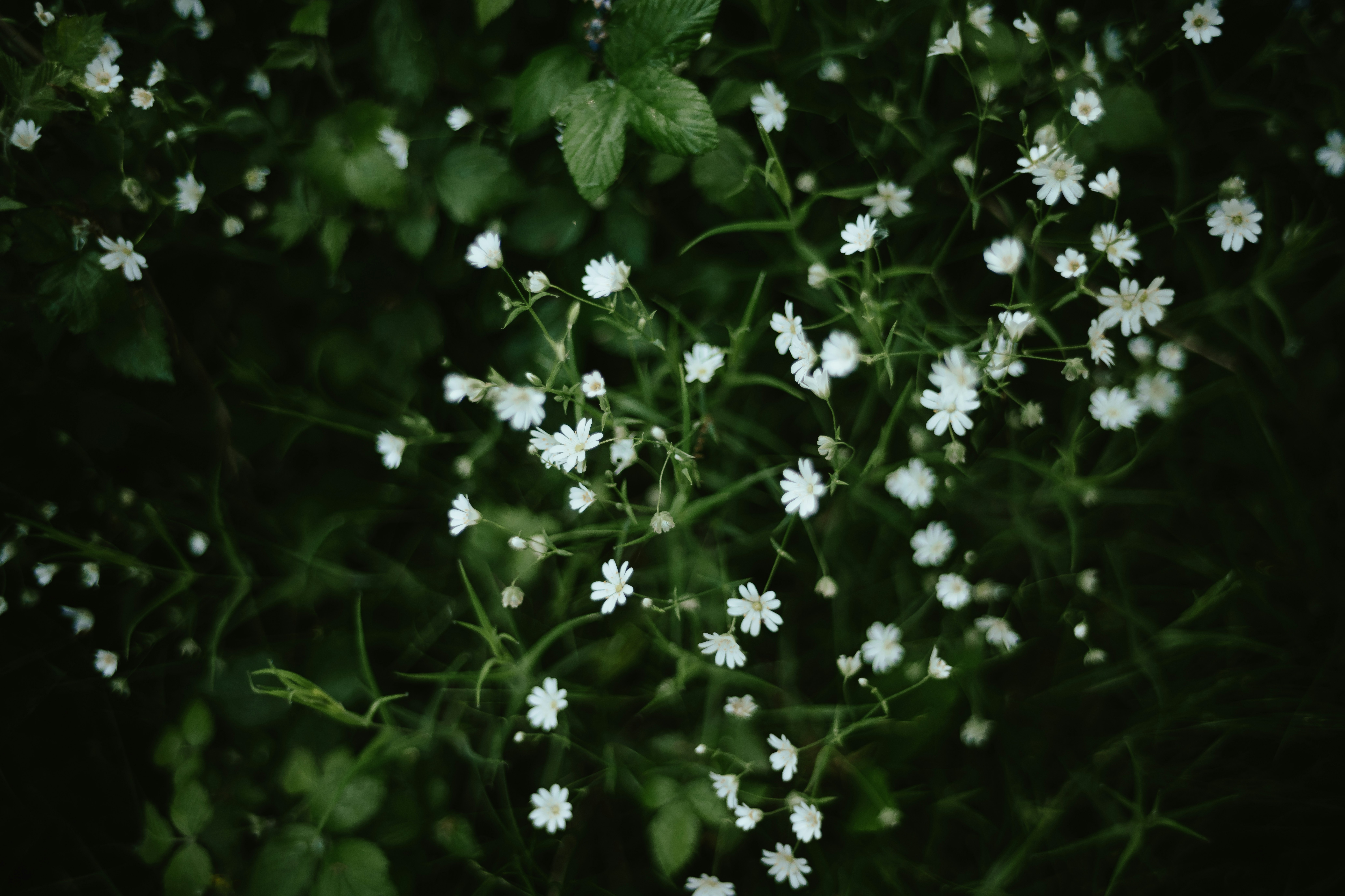 Photo by anniespratt