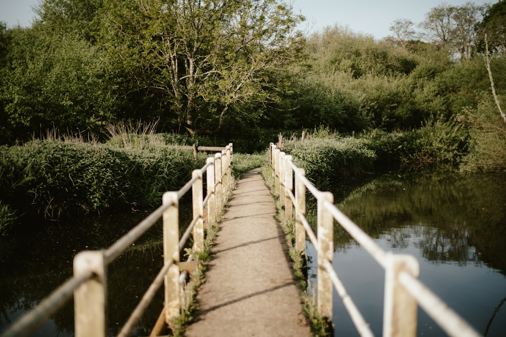 a wooden bridge over a river