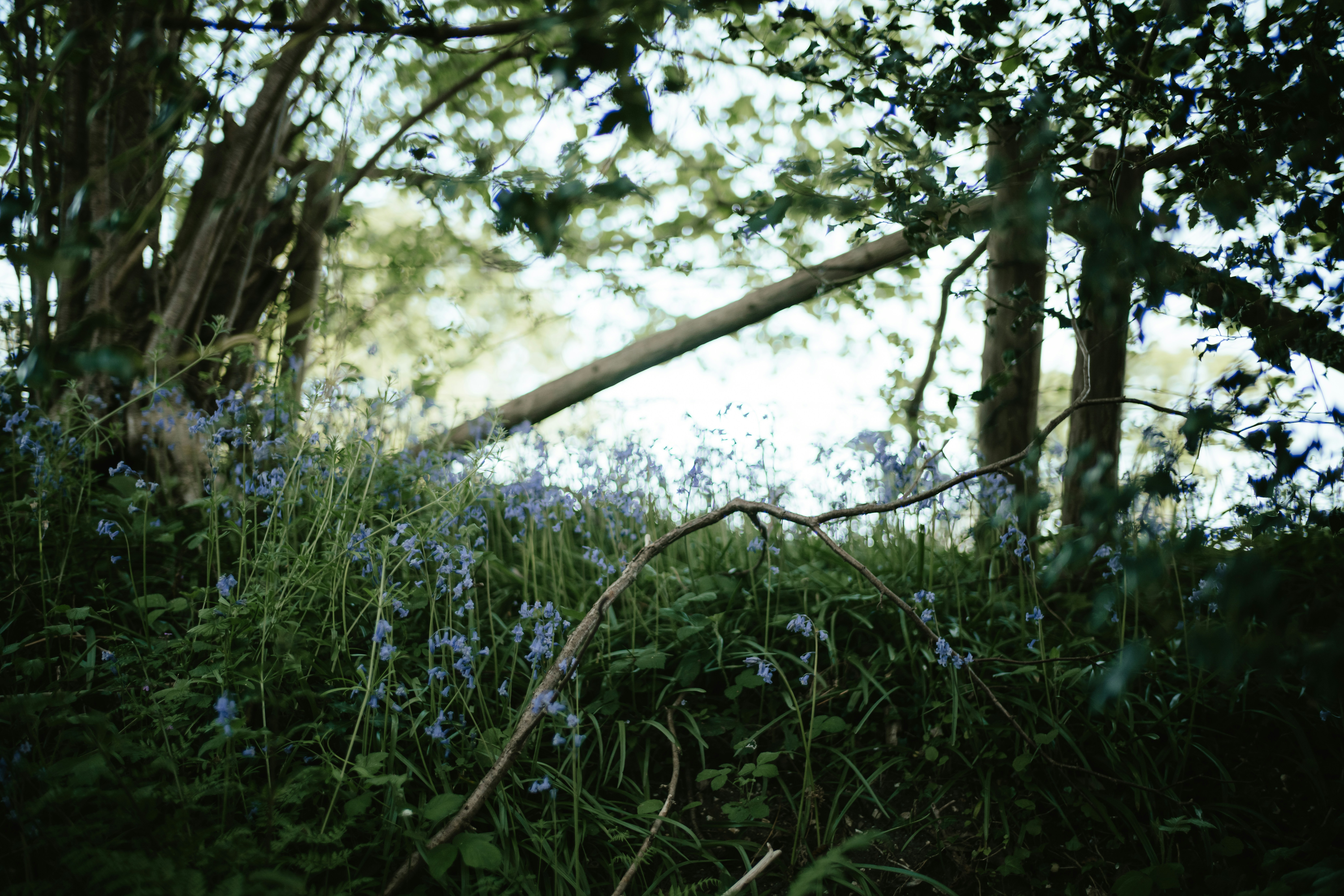 Photo by anniespratt