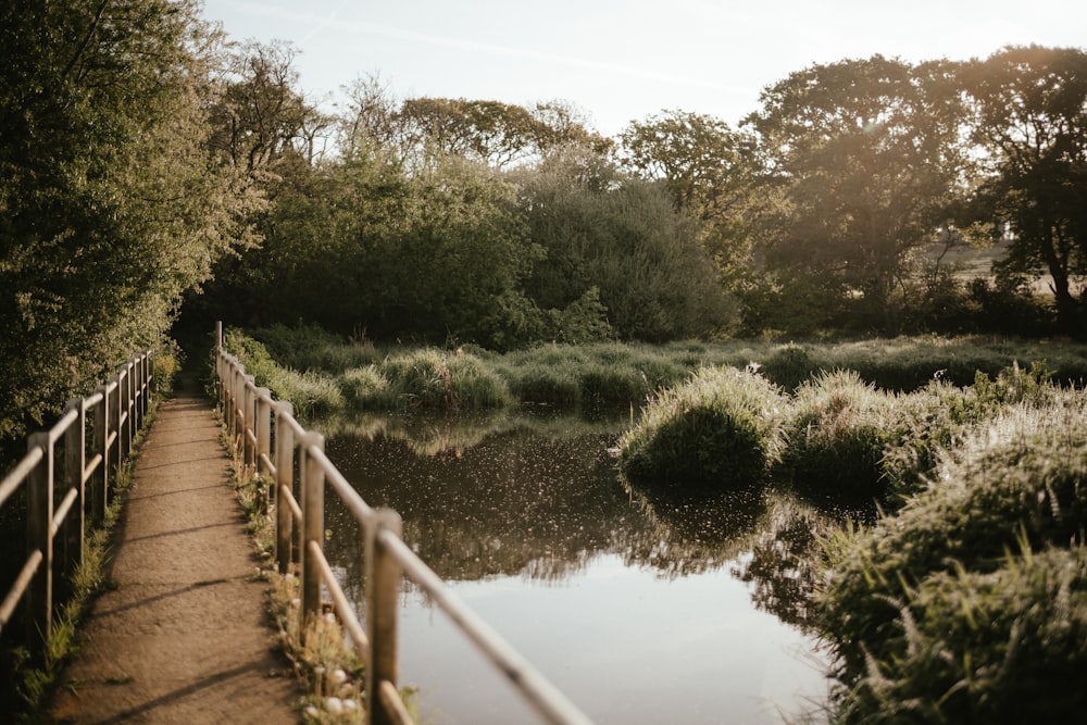 a wooden bridge over a river