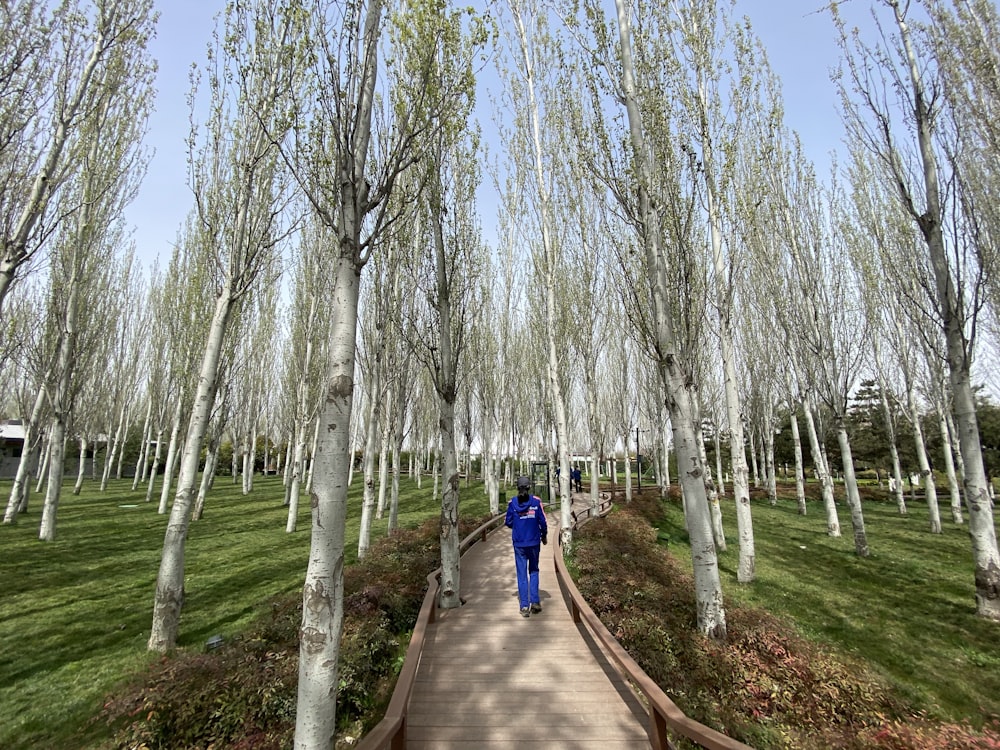 a person walking on a path surrounded by trees