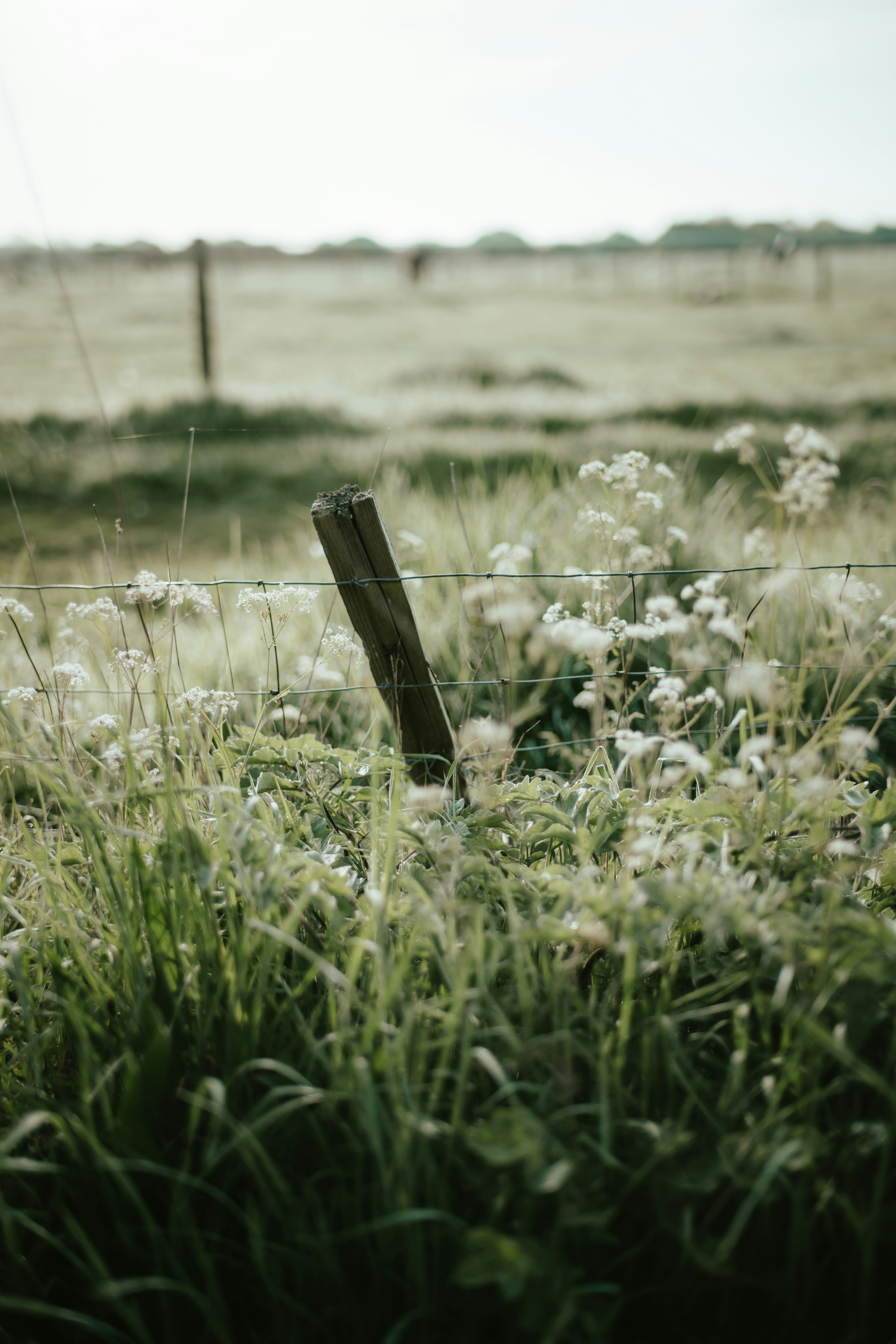 Rail Fence Styles – Country Estate Vinyl Fence, image size:3000x4500