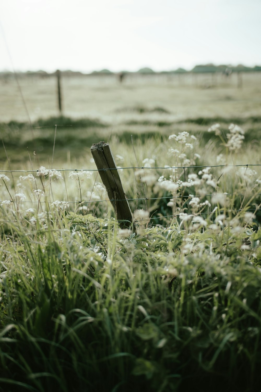 a fence with a field in the background