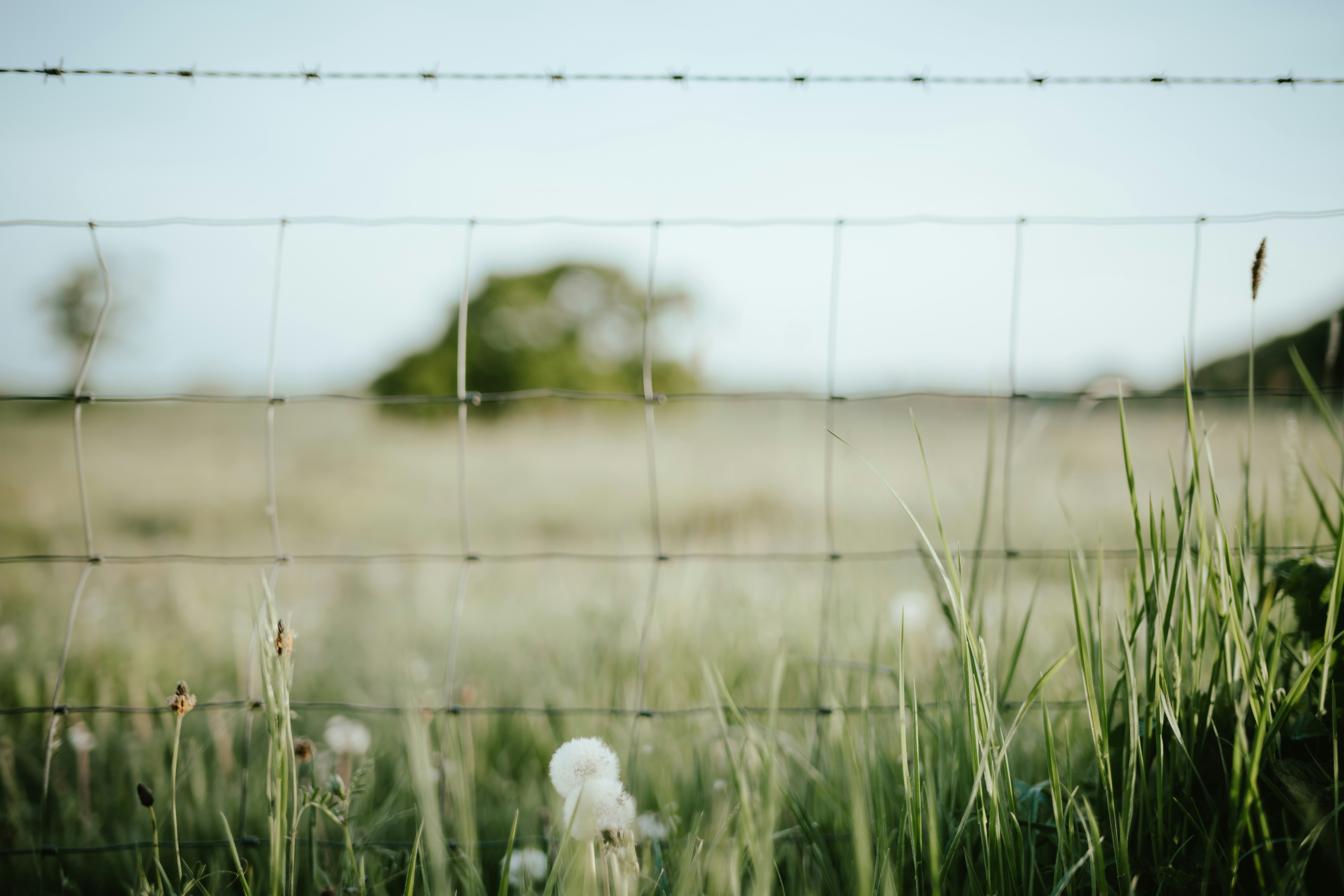 Photo by anniespratt